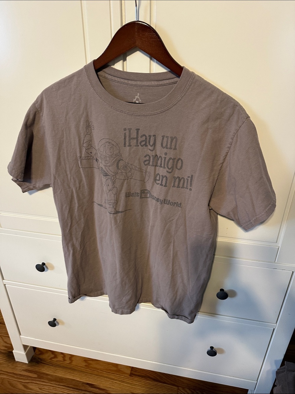 Hanes Walt Disney Buzz Lightyear Graphic Tee in Taupe